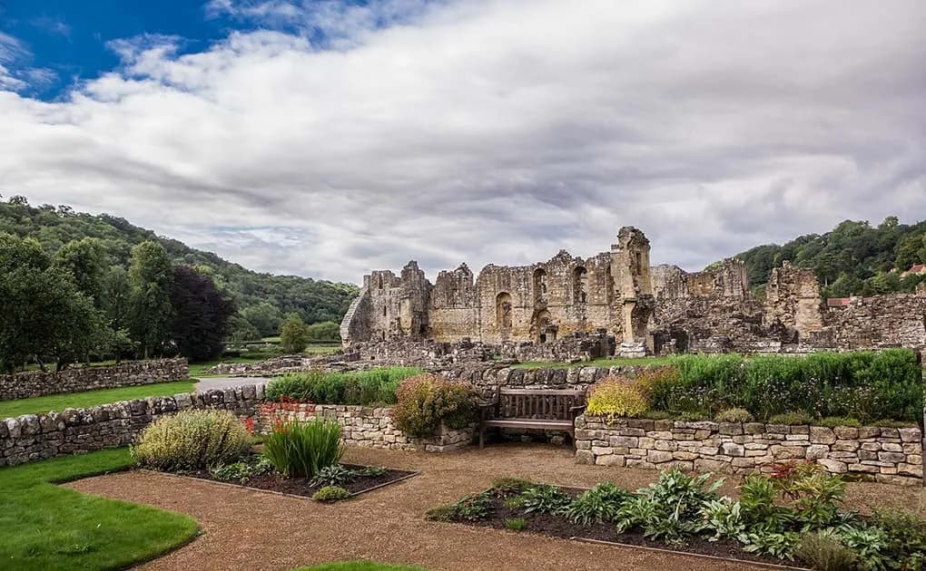 Lavender fields in North Yorkshire countryside